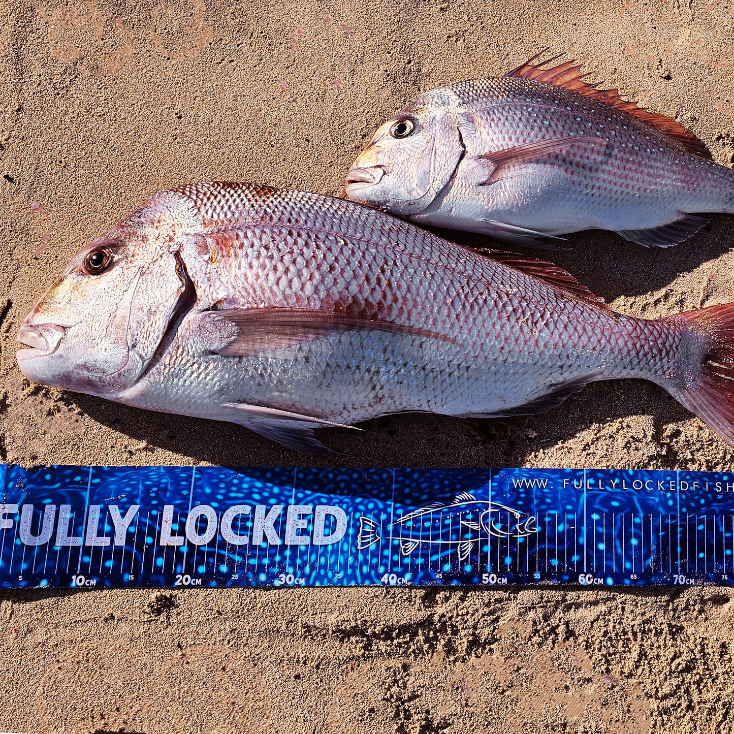 Metery Mat - Compact Fish Measuring Mat