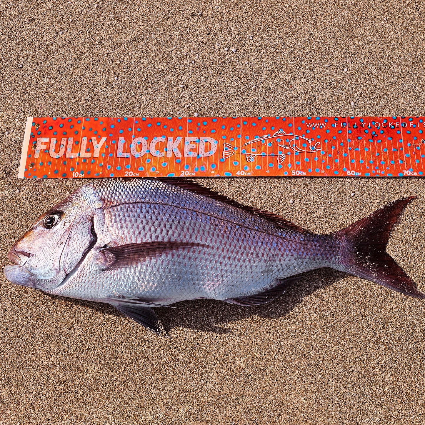 Metery Mat - Compact Fish Measuring Mat